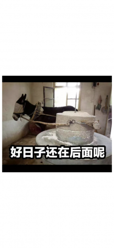 017783CC-1E6F-4E2E-B35D-F6D6B82919AC.png