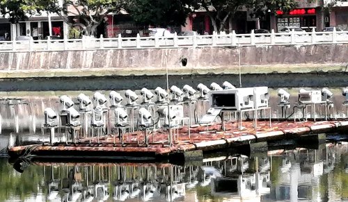 IMG_20211230_100832_看图王.jpg