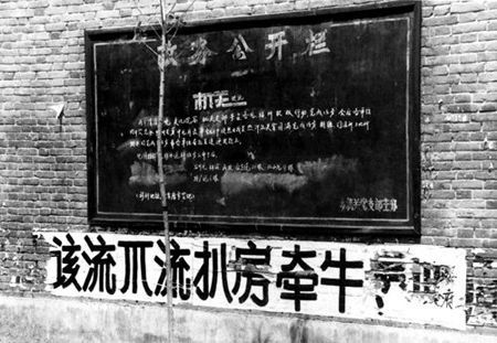 3B3C5FBD-3864-445A-8163-22E83045ECC0.jpeg