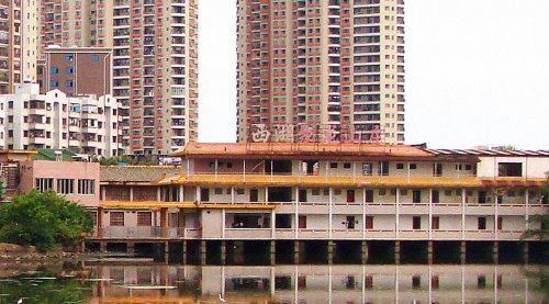 DSC00556_副本_看图王.jpg