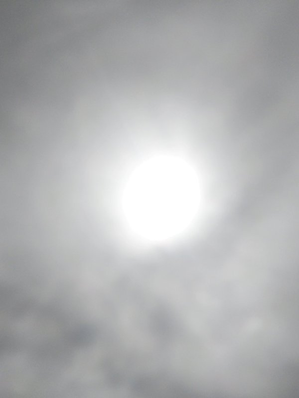 IMG_20221002_144452.jpg