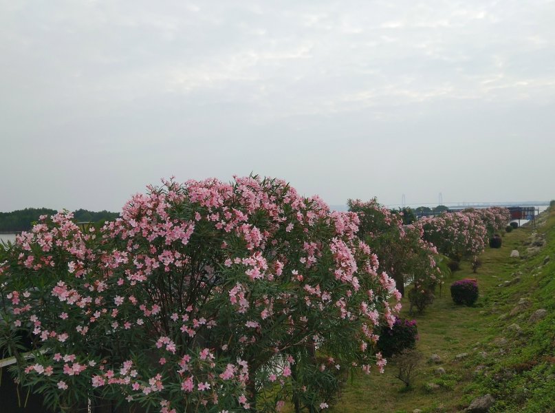 IMG_20221210_170242.jpg