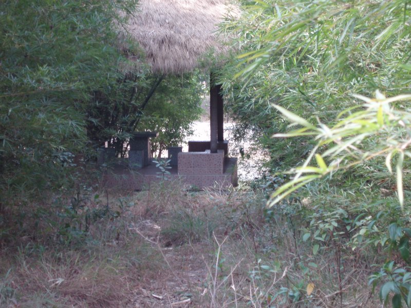PC310003.JPG