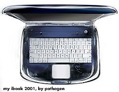 1448773-01_ibook-embed.jpg
