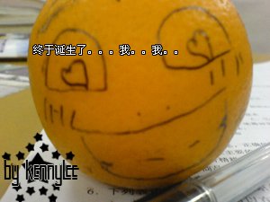 DSC00232.JPG