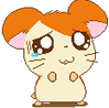 12.GIF