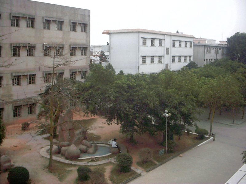 IMAG0028.JPG