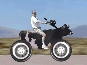 好车...gif