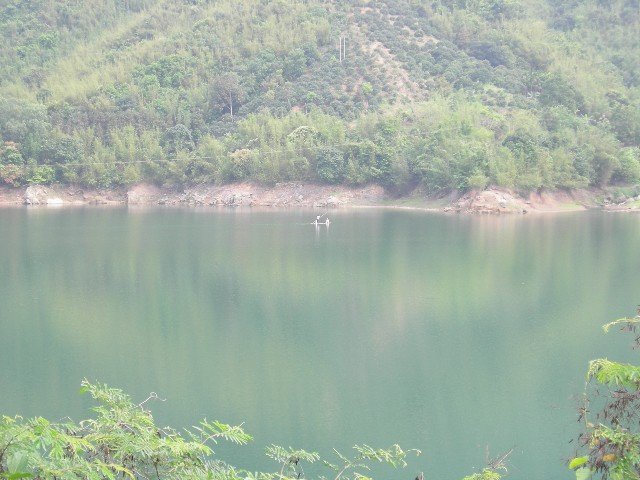 山水鱼0001.jpg