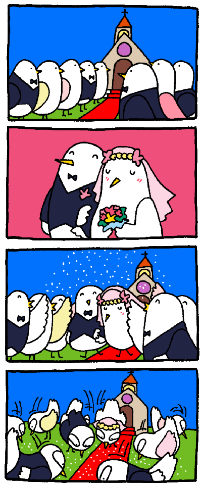 4.gif