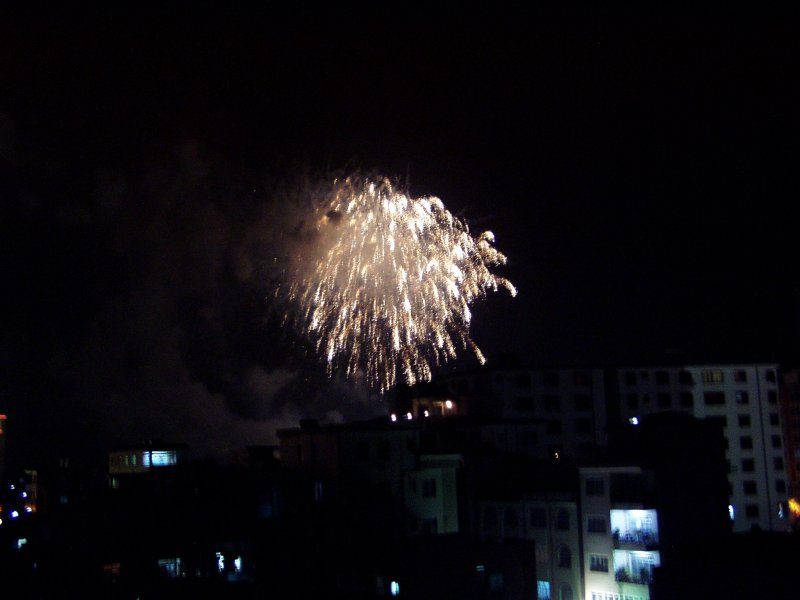 P1010003.JPG