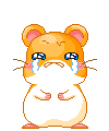 58CE52D8C680564CA903823A30ECF760.GIF