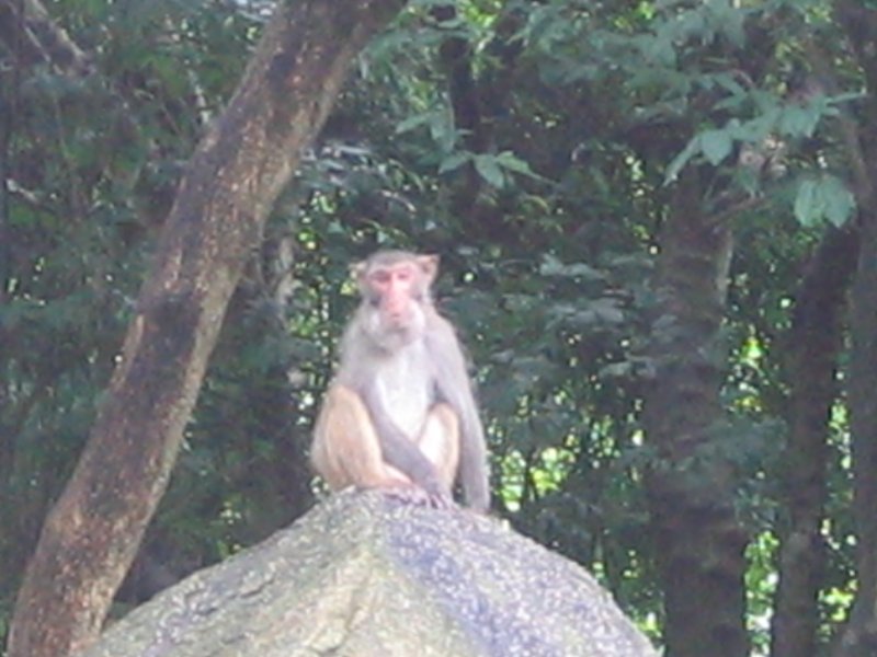 IMG_0400.JPG