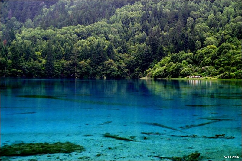 PICT0686.JPG