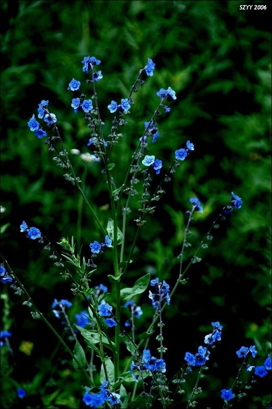 PICT0695.JPG