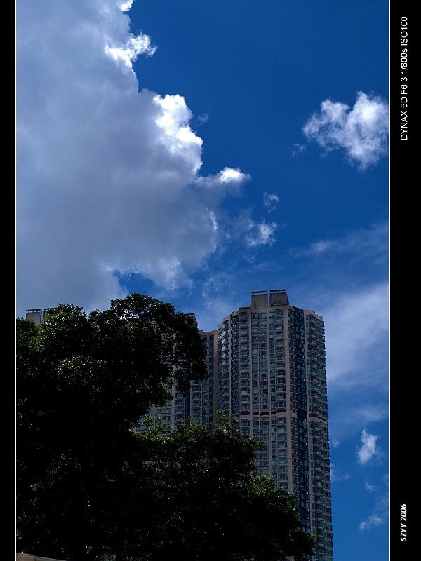 PICT4479.jpg