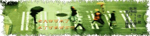 449394_qm2.gif