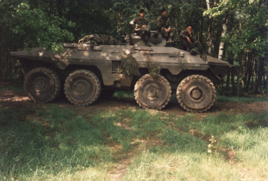 lu5.jpg